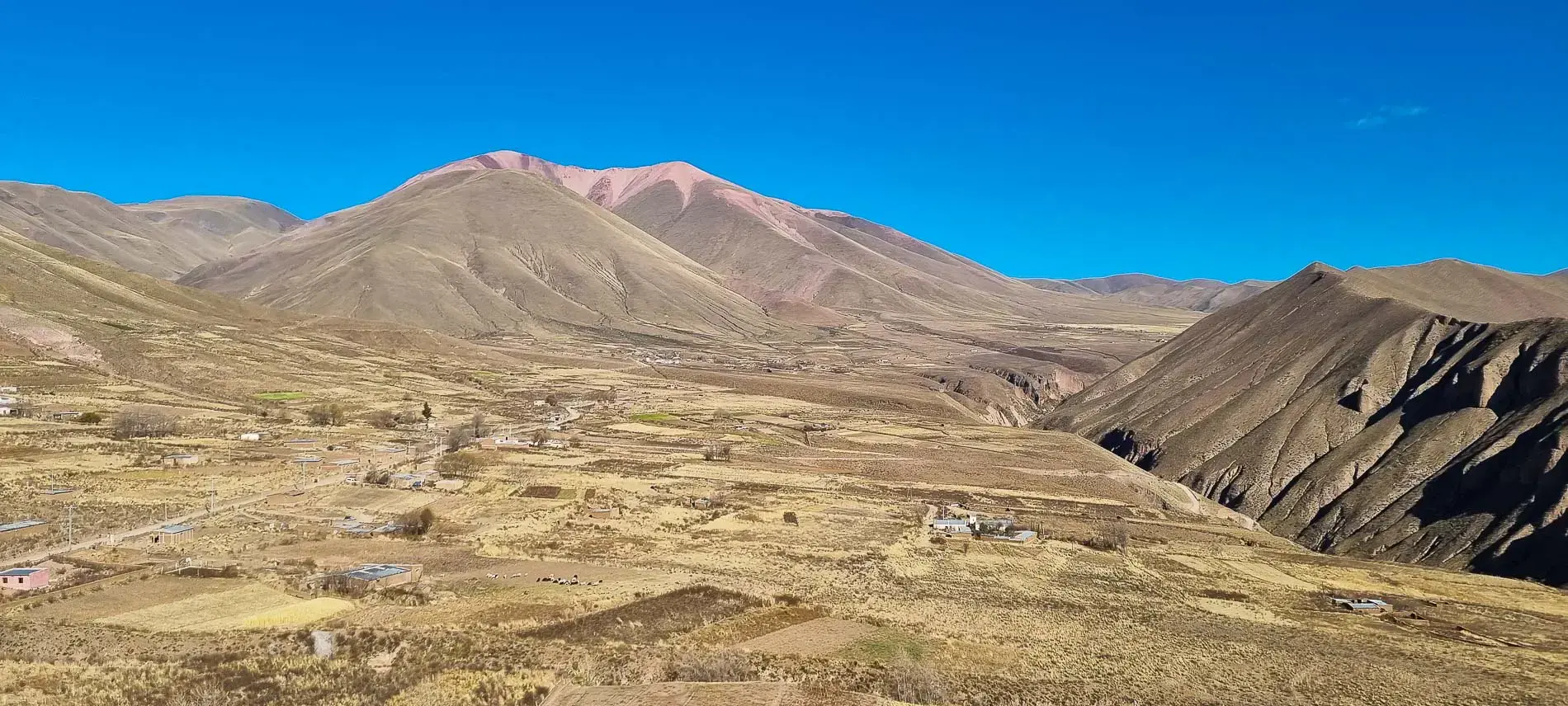 Sandwicheria Wichico - Imagen 5